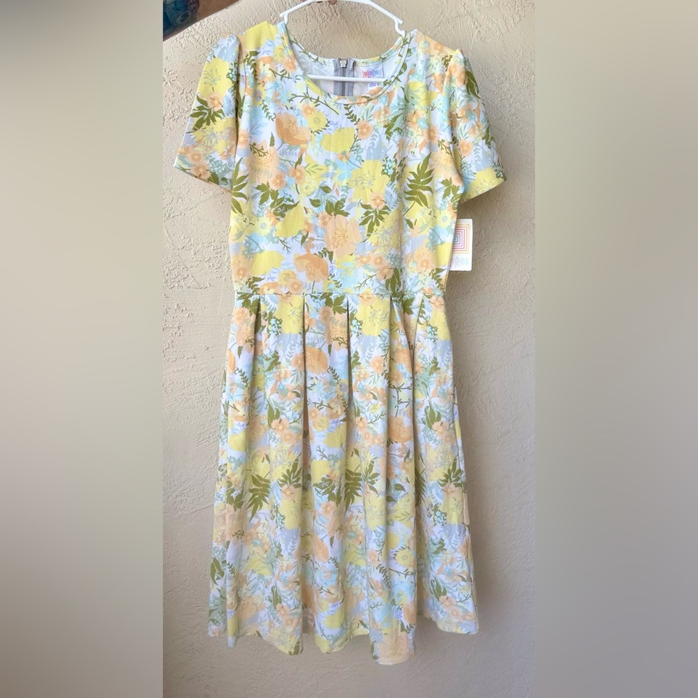 LuLaRoe Amelia dress
